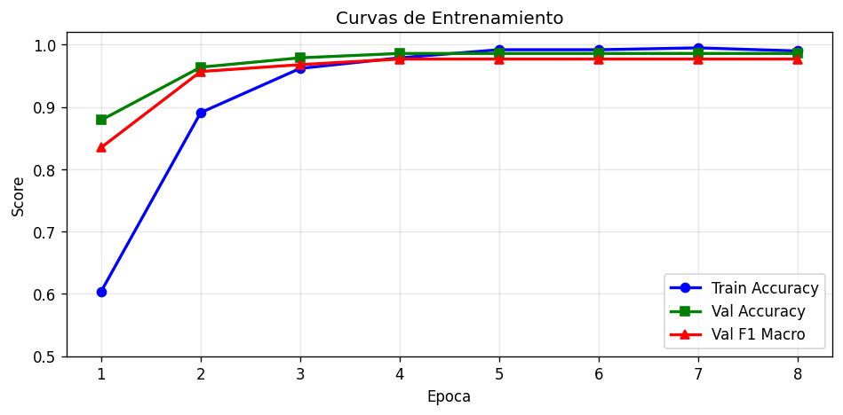 Curvas de entrenamiento